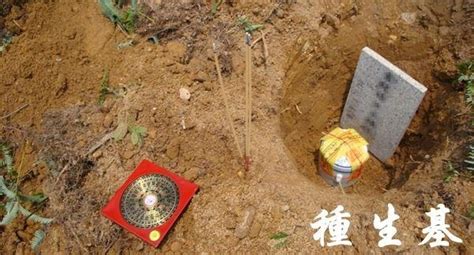 造生基費用|揭密生基價格、造生基費用！種生基效果有哪些｜潘智航風水科